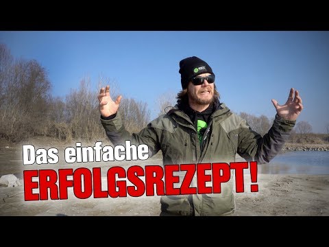 Im Winter stehen große WALLER gestapelt - SO bekommt ihr sie!