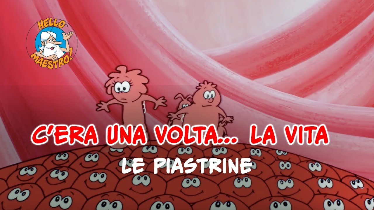 Siamo fatti così... la vita 🌱- Le piastrine 🧪