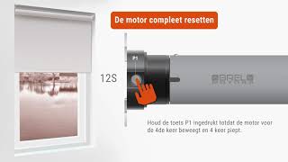 Motor resetten