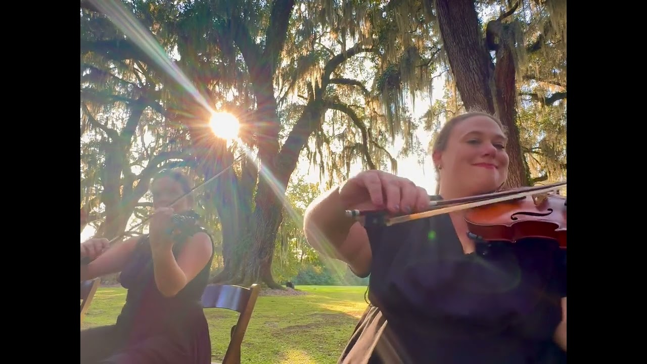Promotional video thumbnail 3 for Rabinowitz Music