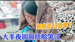 好可怜啊！大半夜圆圆捂着脸哭，到底是发生什么事？