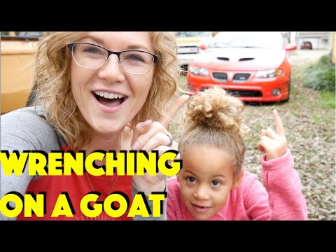 GTO shifter swap! In the shop with Emily EP 41