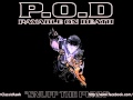 Track 08 "Can You Feel It?" - Album "Snuff The Punk" - Artist "P.O.D."
