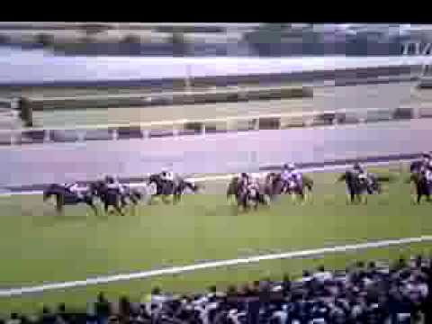 THE TENNO SHO (SPRING) GRP1 HCP  3200m 2009  MEINER KITZ