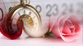 Mis Noches Sin Ti Nino Bravo