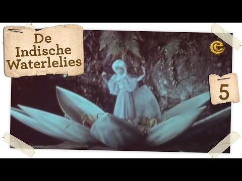 Efteling De Magische Klok - De Indische Waterlelies