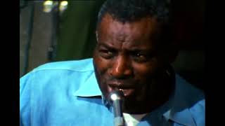 Howlin Wolf - Live 1971