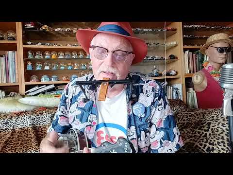 Du Borde Köpa Dig En Tyrolerhatt.