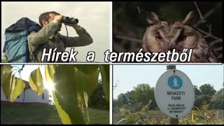 TERMÉSZET HÍREI