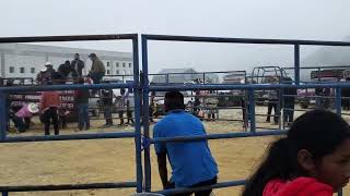JARIPEO EN COICOYAN DE LAS FLORES 12 DE DICIEMBRE DE 2022 FESTEJANDO A LA VIRGEN DE GLPE