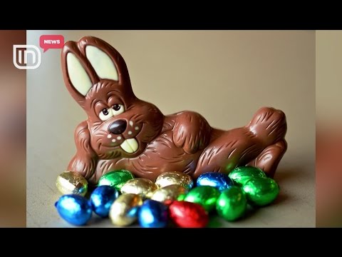 Simbolet qe si shpjegon Bibla Perse lepurusha dhe Cokollata ne Pashke