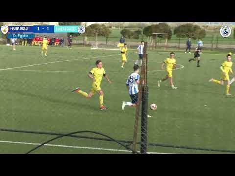 𝐅𝐨𝐠𝐠𝐢𝐚 𝐈𝐧𝐜𝐞𝐝𝐢𝐭 - 𝐋𝐮𝐜𝐞𝐫𝐚 𝐂𝐚𝐥𝐜𝐢𝐨 𝟐-𝟏 𝐠𝐨𝐥 𝐞 𝐡𝐢𝐠𝐡𝐥𝐢𝐠𝐡𝐭𝐬 | 𝐔𝐧𝐝𝐞𝐫 𝟏𝟗