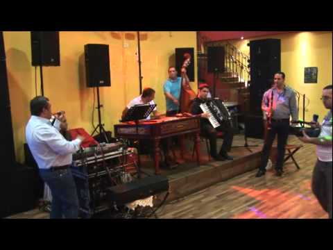 NINEL DE LA BRAILA , CLAUDIU CIOC , MARIUS TURNEANU andamp; TONY CIOLAC - LIVE LA ION PUSTIU