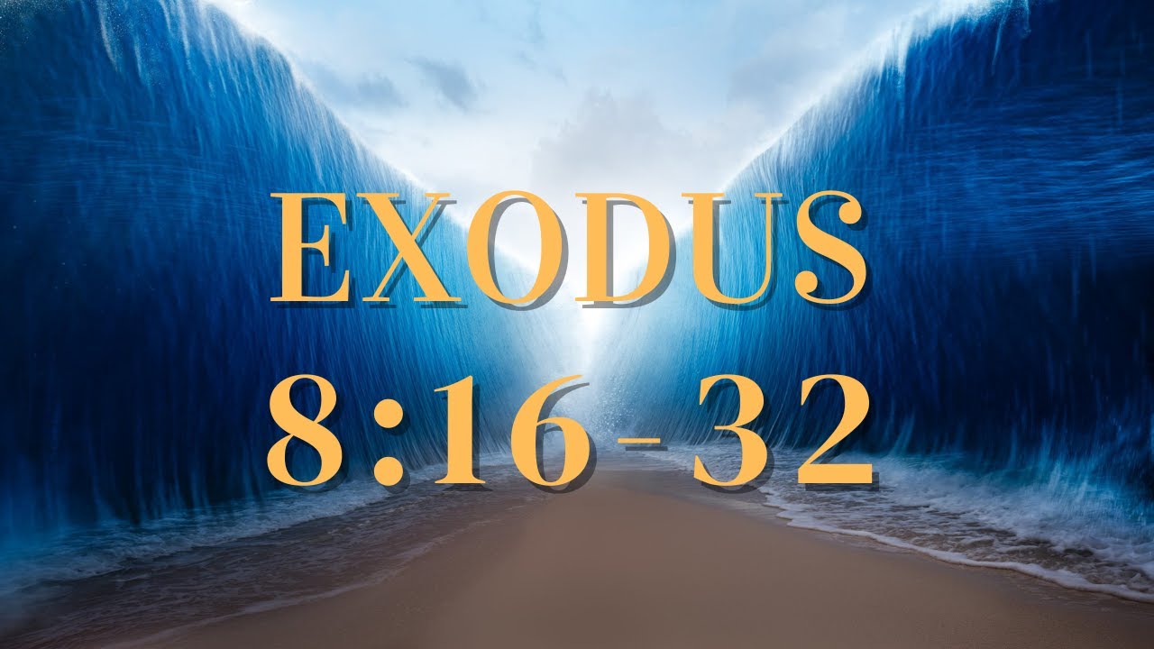 11/6/22 (Exod 8:16-32) Israel Will Be Holy