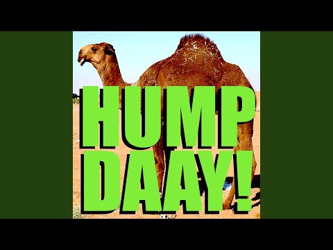 Geico Camel Hump Day! Alert Tone