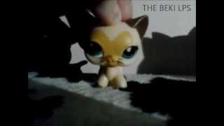 LPS: Music video ( Sharon Doorson - Louder )