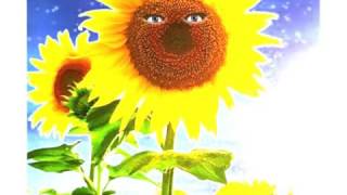 Faith Hill Cover Wish for You