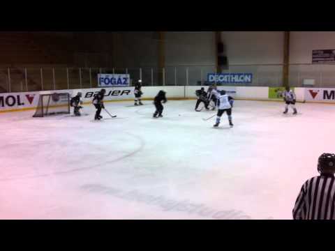 Jégmadarak&Jégenmeister