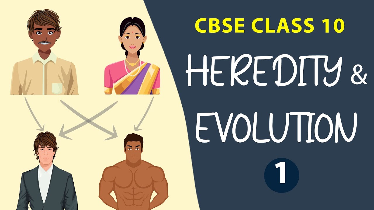 Heredity and Evolution |  Term 2 Exam Class 10 Biology Chapter 9 | CBSE NCERT SCIENCE