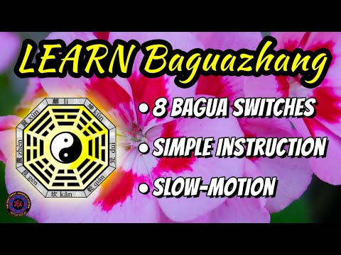 Baguazhang for Beginners: 8 Bagua Switches with simple step-by-step instruction | Pakua Chang