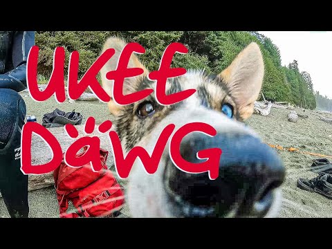 Vanroad Trippin - Pacific Rim to Ucluelet - Vancouver Island, Canada