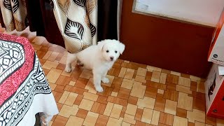 Oreo Studio Main Aagya - YouTube