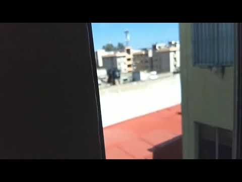 Te fuiste 🌊 - Bonus - Canallas Crew