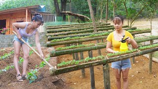 REWIND TIMELAPSE --Unique Technique of Growing Vegetable in Bamboo Tube /from Planting to Harvesting