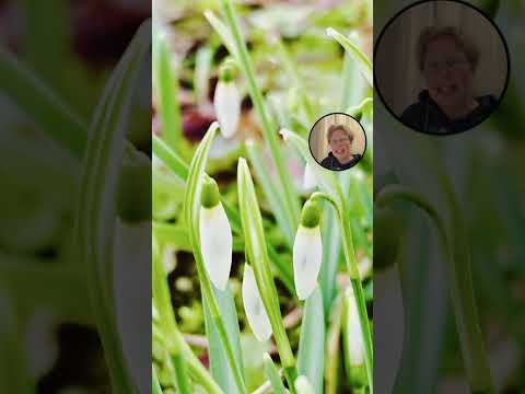 Magische Traumreise nach Griechenland 🇬🇷✨ Entspannung auf einer zauberhaften Insel