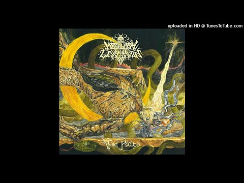 MEGALITH LEVITATION - Last Vision  **including lyrics**