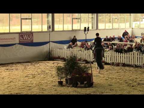 Rock Forever NRW  - Hengstschau 2018