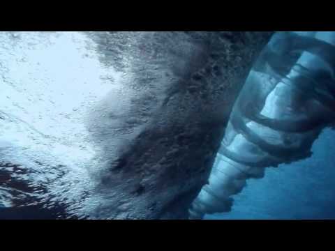 J. Axel vs. Chris Rea - Sweet Summer Day