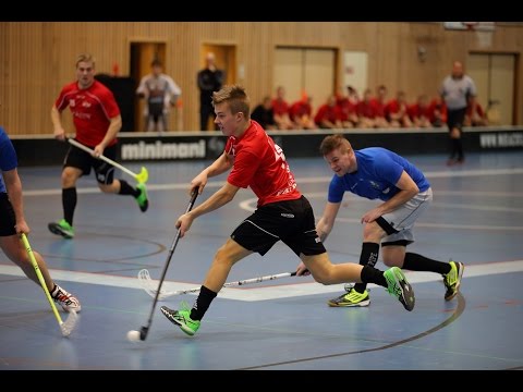 Jeppis FBC - RM 25.2.2017 Maalikooste