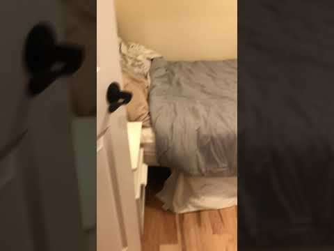 74-76 North Street - Video 2 of 2
