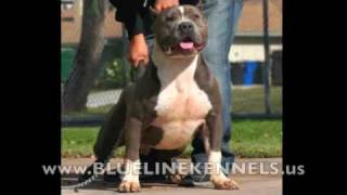 LUDACRIS WHAT U SMOKING ON FT WIZ KHALIFA