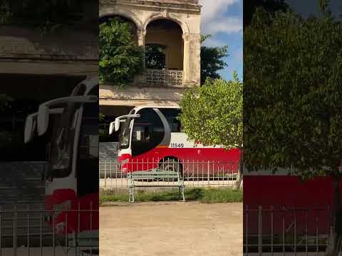 Guaguas para transportar trabajadores de los hoteles del turismo internacional en Caibarién Cuba