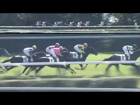 2019.11.10 2yo Newcomer (JPN) - Grande Mare