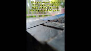 Download lagu Hidup seperti camera!? mp3