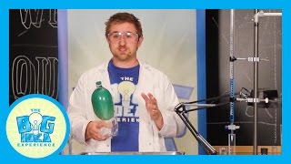 Science Station: Forgiveness