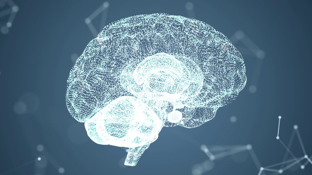 An Introduction to Brain Based Learning