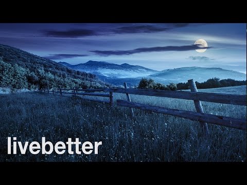 Sonidos de la naturaleza para dormir: Sonido de grillos en la noche relajante