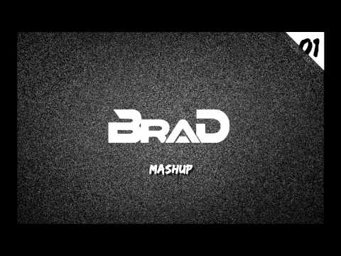 Dannic vs Dada Life - Viper Feed the dada (BradMashup)