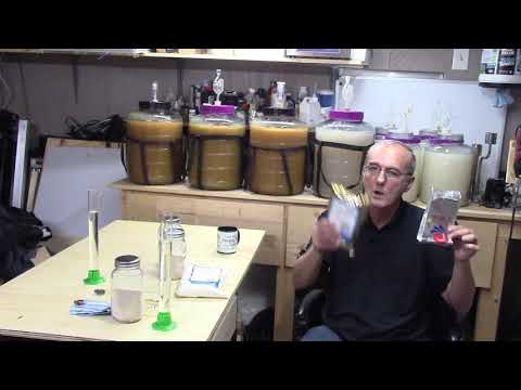 FERMENTATION AND YEAST