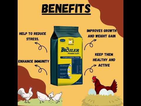 Broiler  Premix 2.5%-Aniamor-Poultry Feed Supplement-25KG