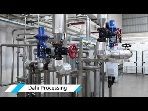 Automatic Dahi Processing Plant