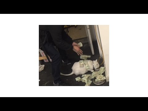 MVZR - Flex Like Ouu