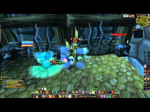 Frost mage Fury warrior 2s