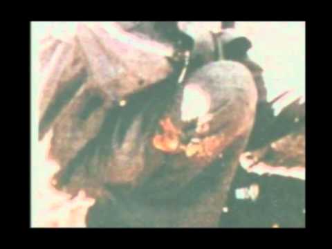 Kill All But The Crows!