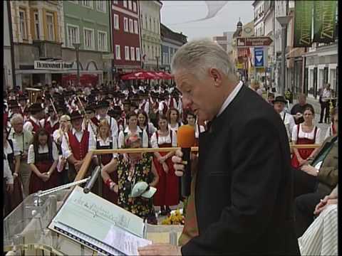 Bezirksmusikfest 2010 Grieskirchen - Festakt am Sonntag