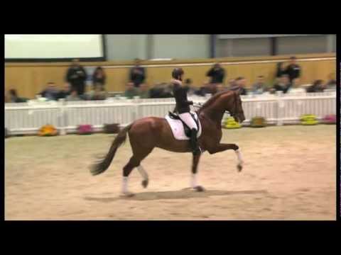 Don Juan de Hus 2012